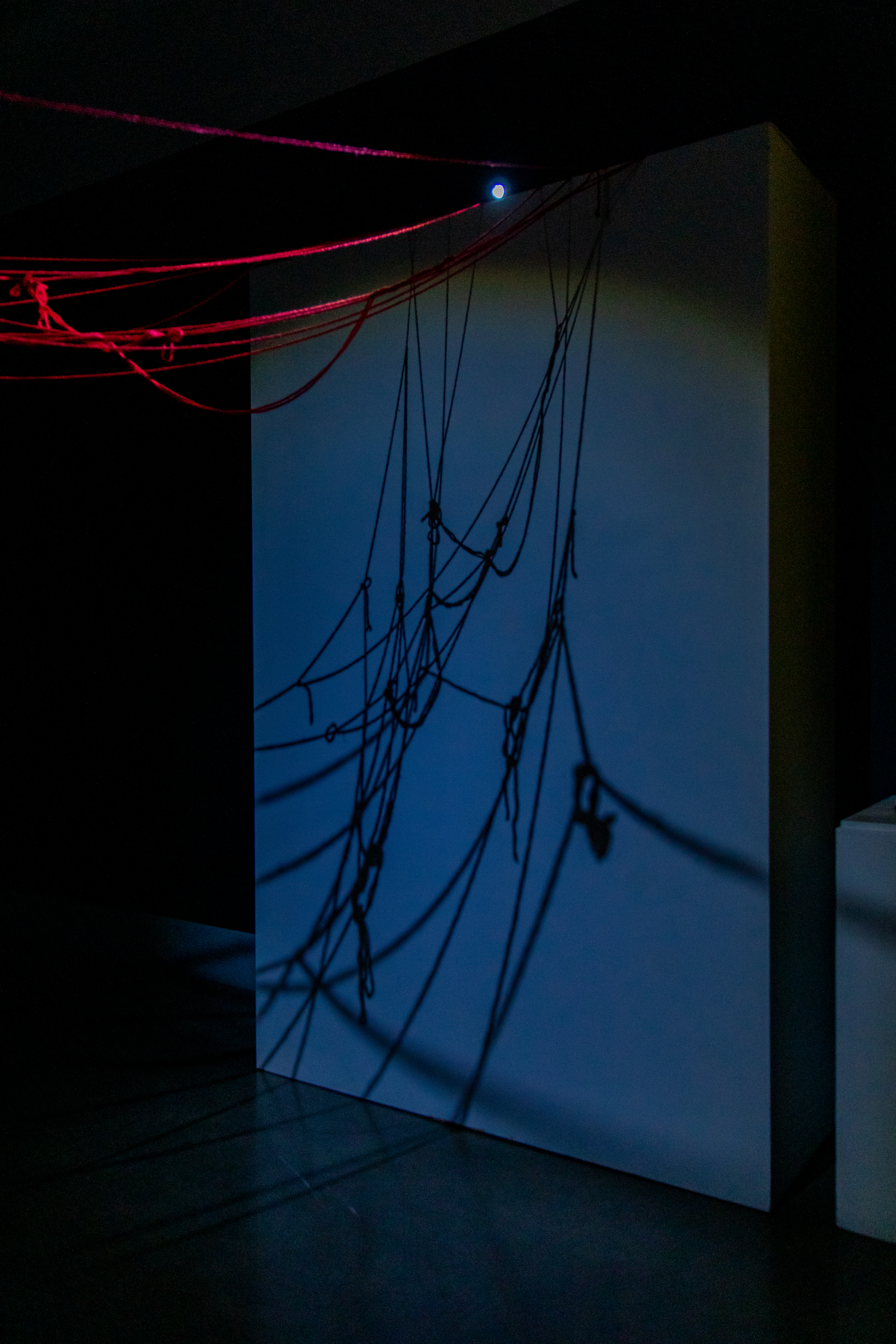 Rope shadow silhouettes on blue-lit gallery wall